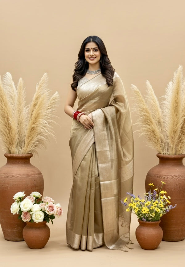 Tissue silk brocade saree